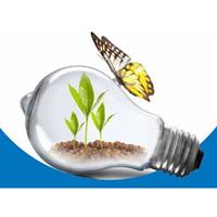تعیین اعضاء و شکل‌گیری کمیته کارشناسی استانداردهای انرژی‌های تجدیدپذیر بر اساس نظام‌نامه استانداردهای صنعت برق